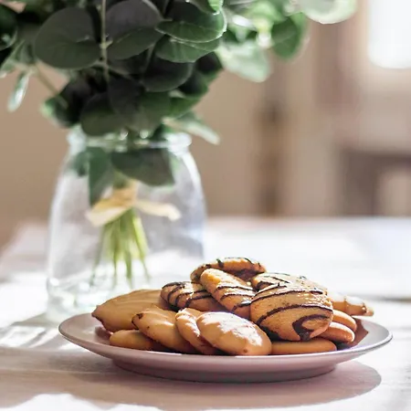 Sweet Graziella Vicino Stazione Per 6 Persone * Bologna